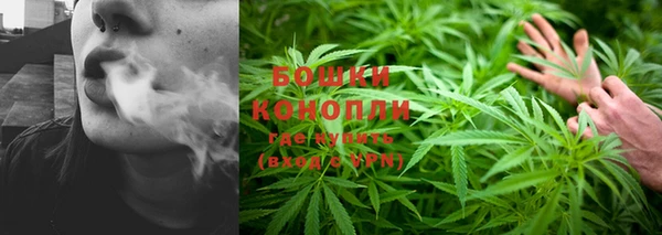 гашик Елабуга