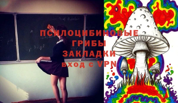 ALPHA PVP Алексеевка