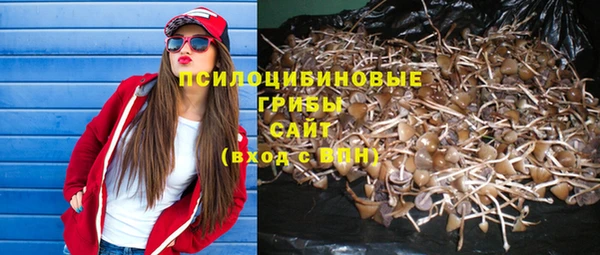 метадон Алексин