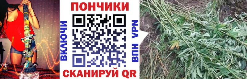 Бошки марихуана конопля  Спасск-Рязанский 
